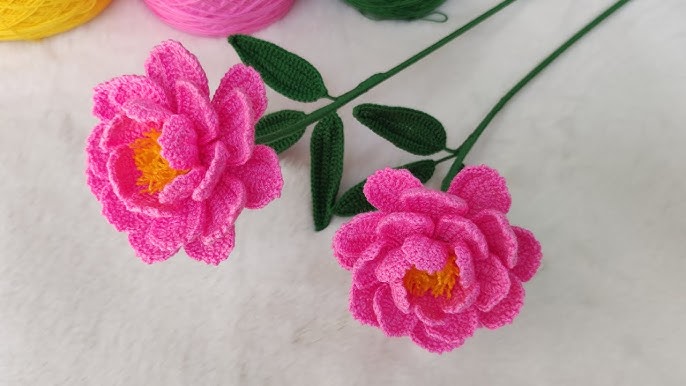 Hoa Mẫu Đơn